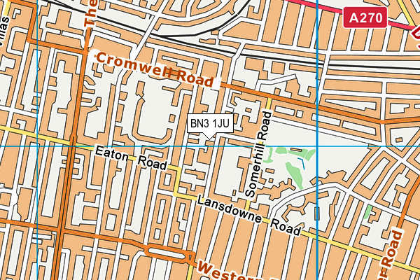 BN3 1JU map - OS VectorMap District (Ordnance Survey)