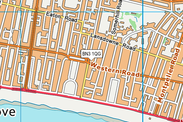 BN3 1QG map - OS VectorMap District (Ordnance Survey)