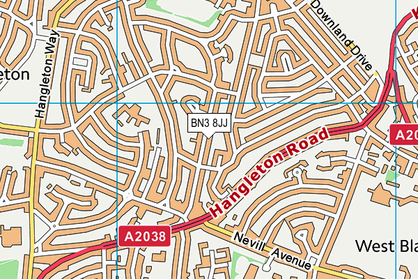 BN3 8JJ map - OS VectorMap District (Ordnance Survey)