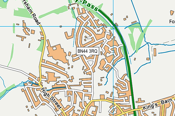 Steyning CofE Primary School map (BN44 3RQ) - OS VectorMap District (Ordnance Survey)