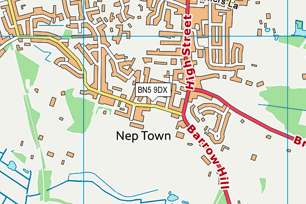 BN5 9DX map - OS VectorMap District (Ordnance Survey)
