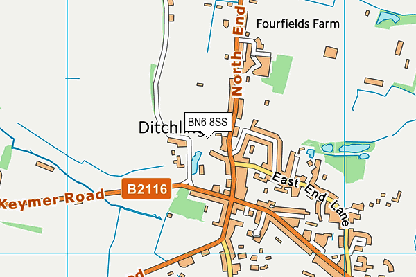 BN6 8SS map - OS VectorMap District (Ordnance Survey)