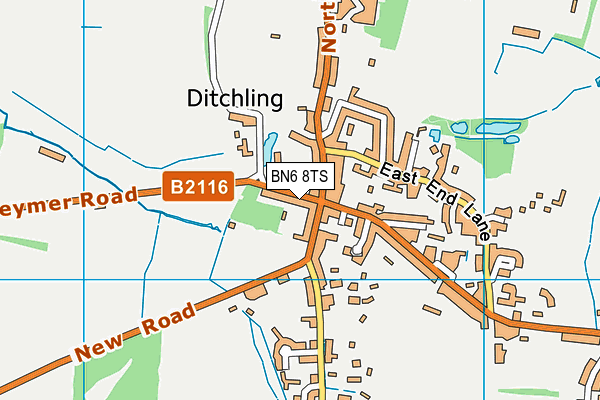 BN6 8TS map - OS VectorMap District (Ordnance Survey)