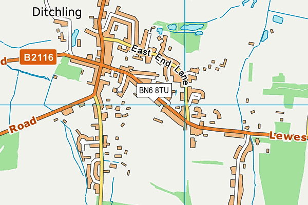 Ditchling St Margaret's Church of England Primary School map (BN6 8TU) - OS VectorMap District (Ordnance Survey)