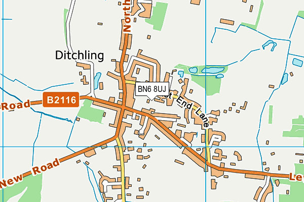 BN6 8UJ map - OS VectorMap District (Ordnance Survey)
