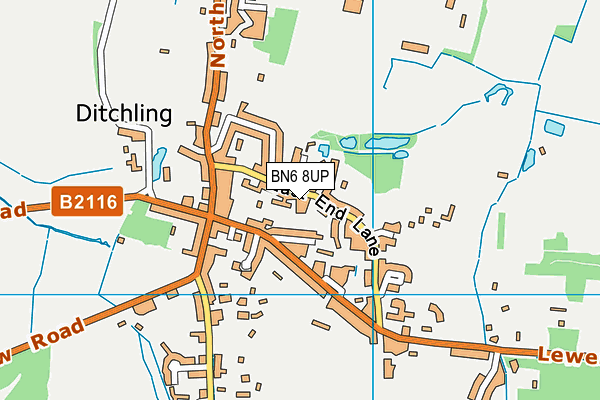 BN6 8UP map - OS VectorMap District (Ordnance Survey)