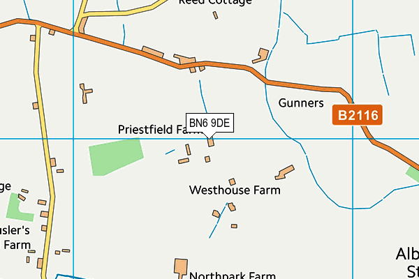 BN6 9DE map - OS VectorMap District (Ordnance Survey)