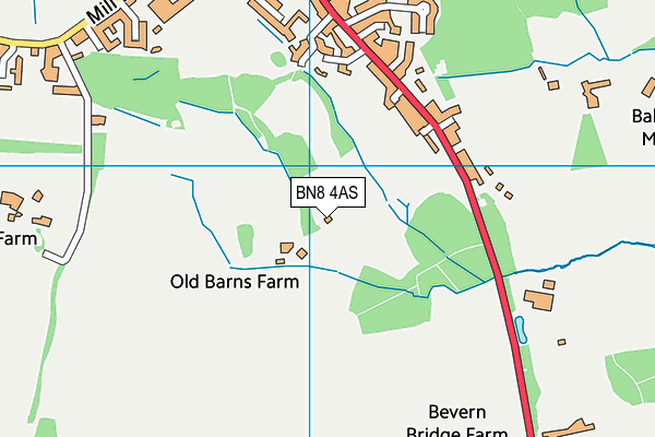 BN8 4AS map - OS VectorMap District (Ordnance Survey)