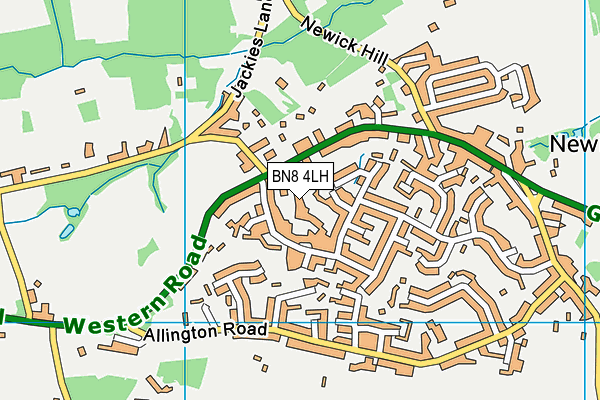 BN8 4LH map - OS VectorMap District (Ordnance Survey)