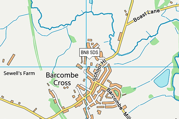BN8 5DS map - OS VectorMap District (Ordnance Survey)