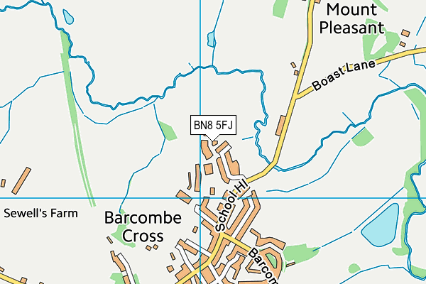BN8 5FJ map - OS VectorMap District (Ordnance Survey)