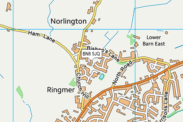 BN8 5JQ map - OS VectorMap District (Ordnance Survey)