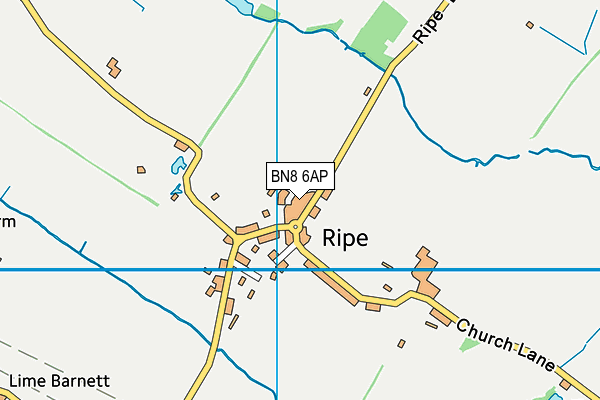 BN8 6AP map - OS VectorMap District (Ordnance Survey)