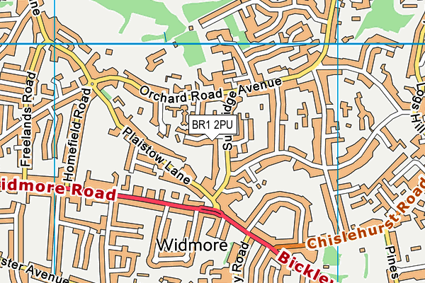 BR1 2PU map - OS VectorMap District (Ordnance Survey)