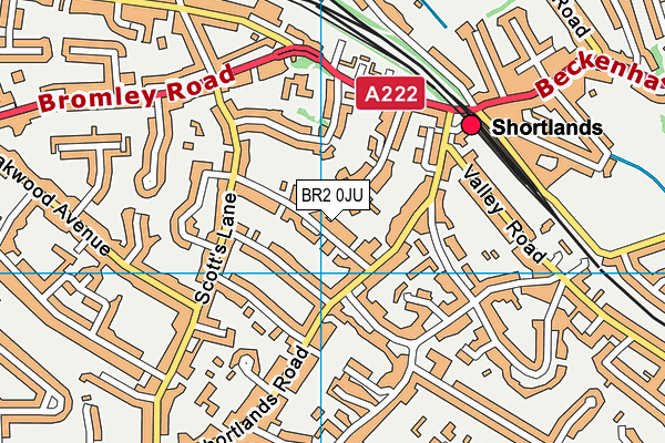 BR2 0JU map - OS VectorMap District (Ordnance Survey)