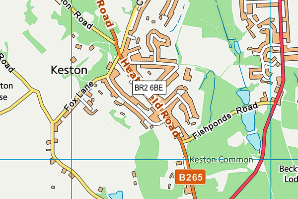 BR2 6BE map - OS VectorMap District (Ordnance Survey)