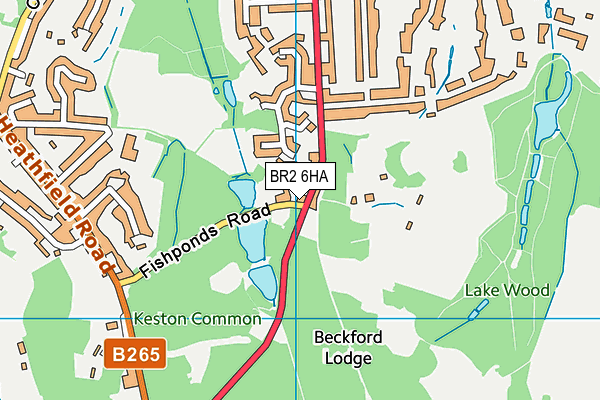 BR2 6HA map - OS VectorMap District (Ordnance Survey)