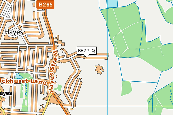 Hayes Primary School map (BR2 7LQ) - OS VectorMap District (Ordnance Survey)