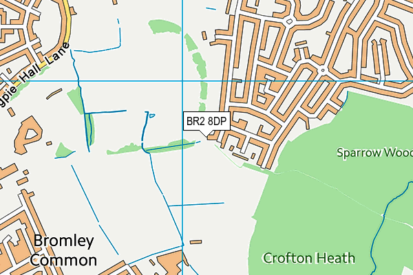 BR2 8DP map - OS VectorMap District (Ordnance Survey)