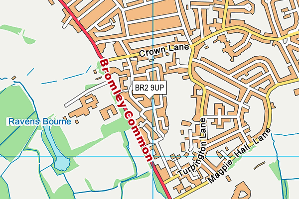 BR2 9UP map - OS VectorMap District (Ordnance Survey)