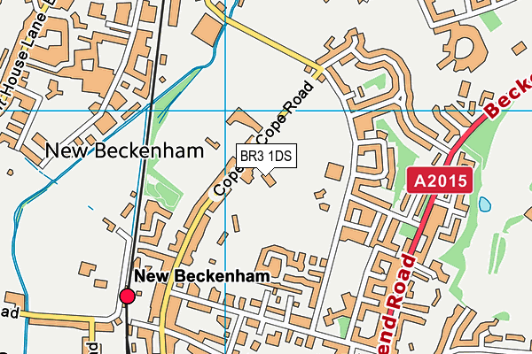 BR3 1DS map - OS VectorMap District (Ordnance Survey)