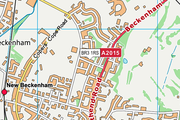 BR3 1RS map - OS VectorMap District (Ordnance Survey)