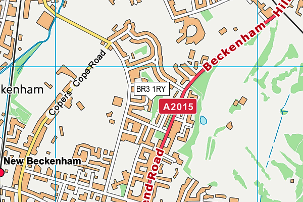 BR3 1RY map - OS VectorMap District (Ordnance Survey)