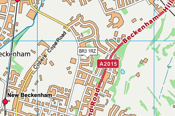 BR3 1RZ map - OS VectorMap District (Ordnance Survey)