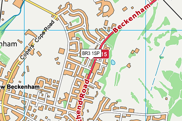 BR3 1SP map - OS VectorMap District (Ordnance Survey)