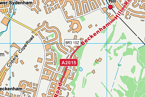 BR3 1SZ map - OS VectorMap District (Ordnance Survey)
