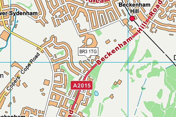 BR3 1TG map - OS VectorMap District (Ordnance Survey)