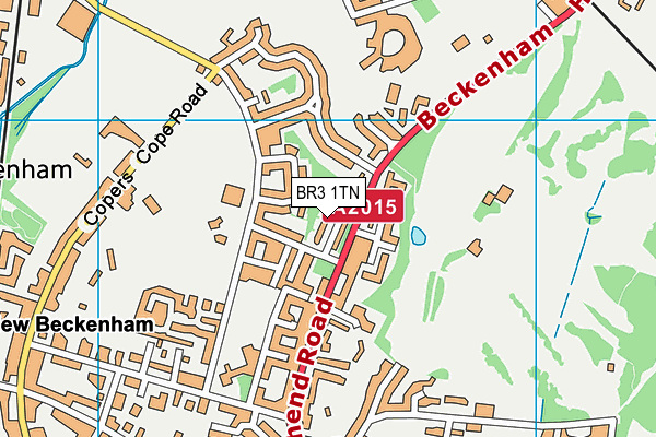 BR3 1TN map - OS VectorMap District (Ordnance Survey)