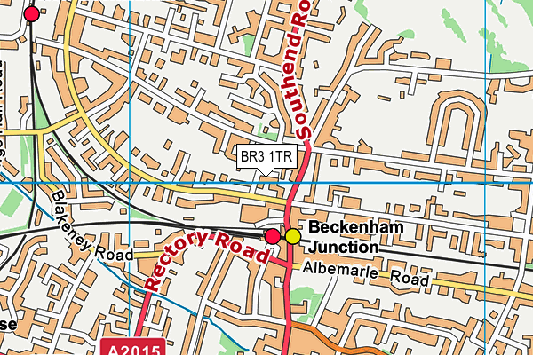BR3 1TR map - OS VectorMap District (Ordnance Survey)