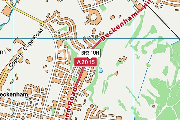 BR3 1UH map - OS VectorMap District (Ordnance Survey)