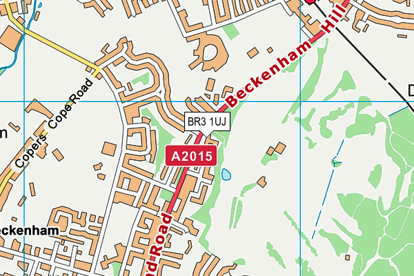 BR3 1UJ map - OS VectorMap District (Ordnance Survey)