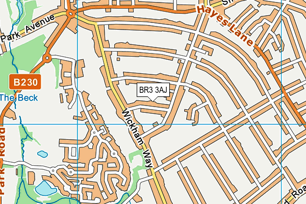 BR3 3AJ map - OS VectorMap District (Ordnance Survey)