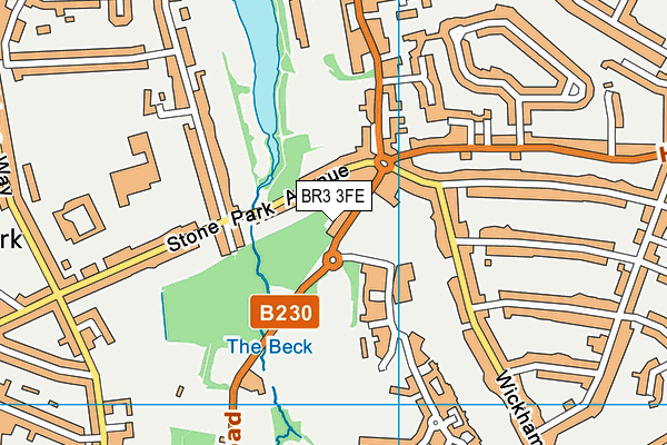 BR3 3FE map - OS VectorMap District (Ordnance Survey)
