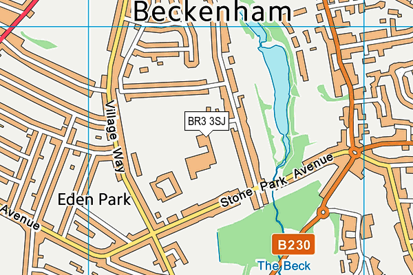 Harris Primary Academy Beckenham map (BR3 3SJ) - OS VectorMap District (Ordnance Survey)