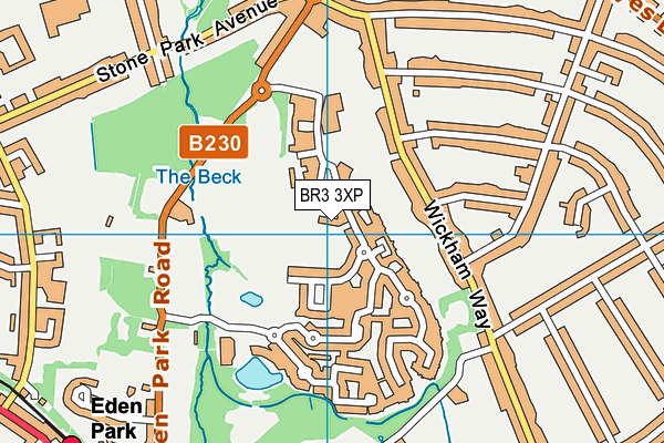 BR3 3XP map - OS VectorMap District (Ordnance Survey)