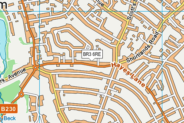 BR3 6RE map - OS VectorMap District (Ordnance Survey)