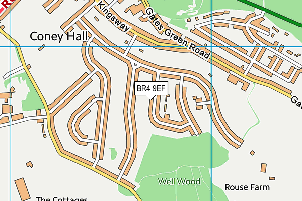 BR4 9EF map - OS VectorMap District (Ordnance Survey)