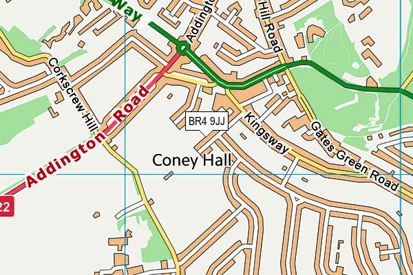 Coney Recreation Ground map (BR4 9JJ) - OS VectorMap District (Ordnance Survey)