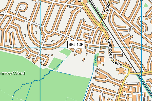 Petts Wood Recreation Ground map (BR5 1DP) - OS VectorMap District (Ordnance Survey)
