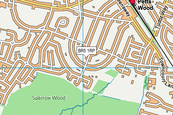 BR5 1RP map - OS VectorMap District (Ordnance Survey)