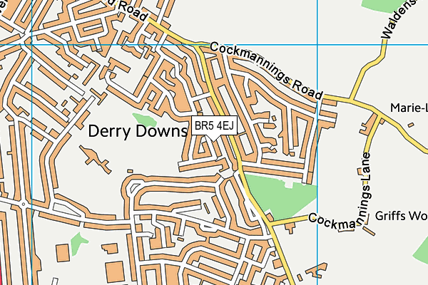 BR5 4EJ map - OS VectorMap District (Ordnance Survey)