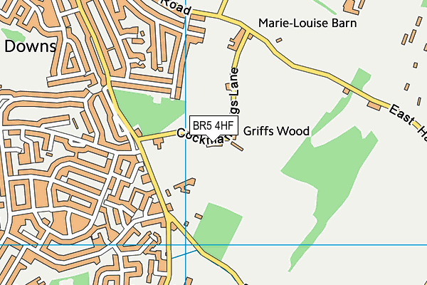 Orpington Rovers Football Club map (BR5 4HF) - OS VectorMap District (Ordnance Survey)