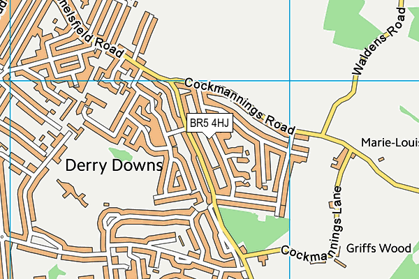 BR5 4HJ map - OS VectorMap District (Ordnance Survey)