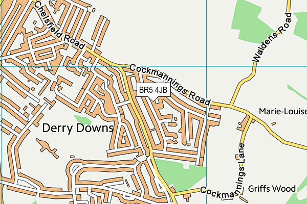 BR5 4JB map - OS VectorMap District (Ordnance Survey)