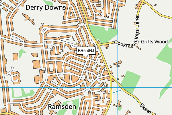 BR5 4NJ map - OS VectorMap District (Ordnance Survey)