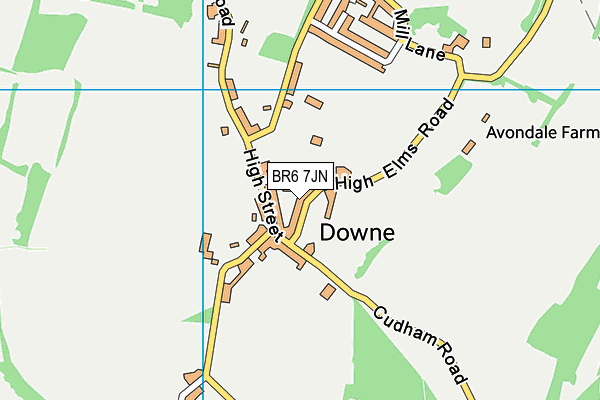 Downe Primary School map (BR6 7JN) - OS VectorMap District (Ordnance Survey)